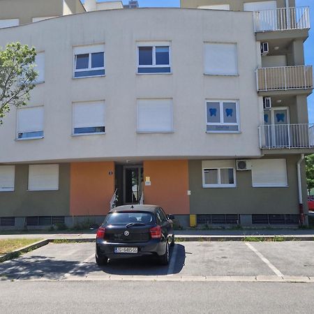 Apartment Rose Сесвете Экстерьер фото